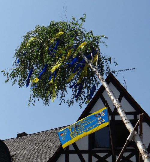 Festbaum beim Gülser Blütenfest in Koblenz Güls