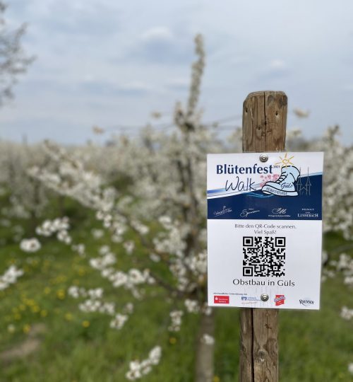QR-Code-Schild Blütenfest