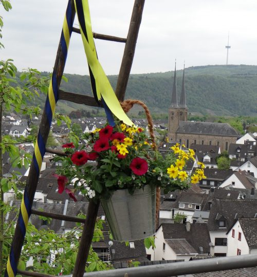 Leiter mit Blumentopf