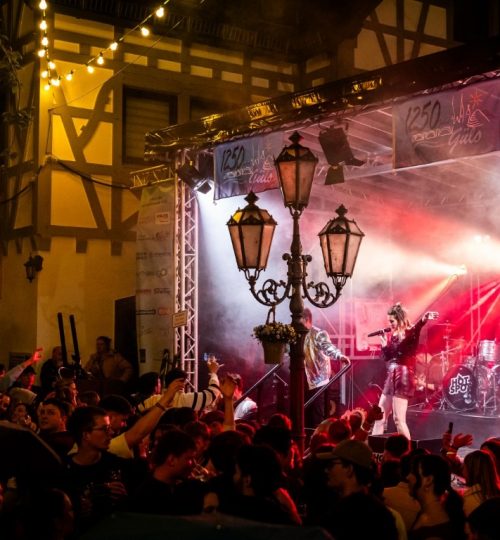 Blütenfest 2025 Koblenz Güls Jubiläum (1)