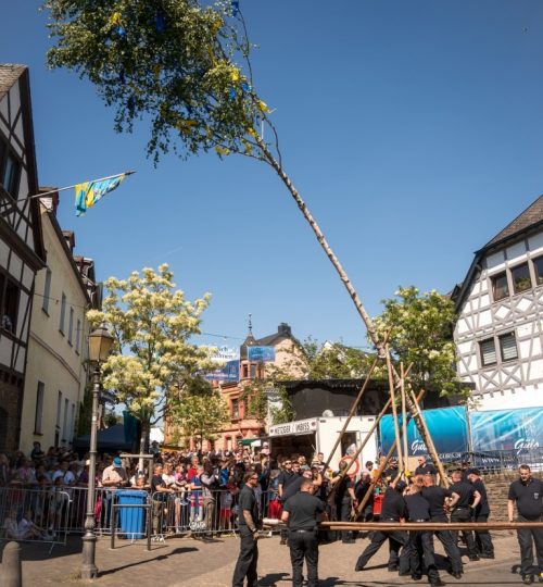 BlütenfestMaibaum2 (Mittel)