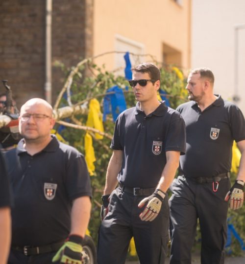 BlütenfestMaibaum4 (Mittel)