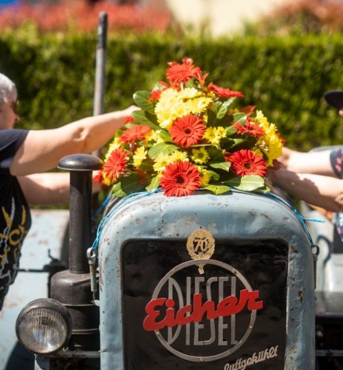 BlütenfestMaibaum7 (Mittel)