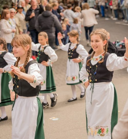 Blütenfestumzug8 (Mittel)