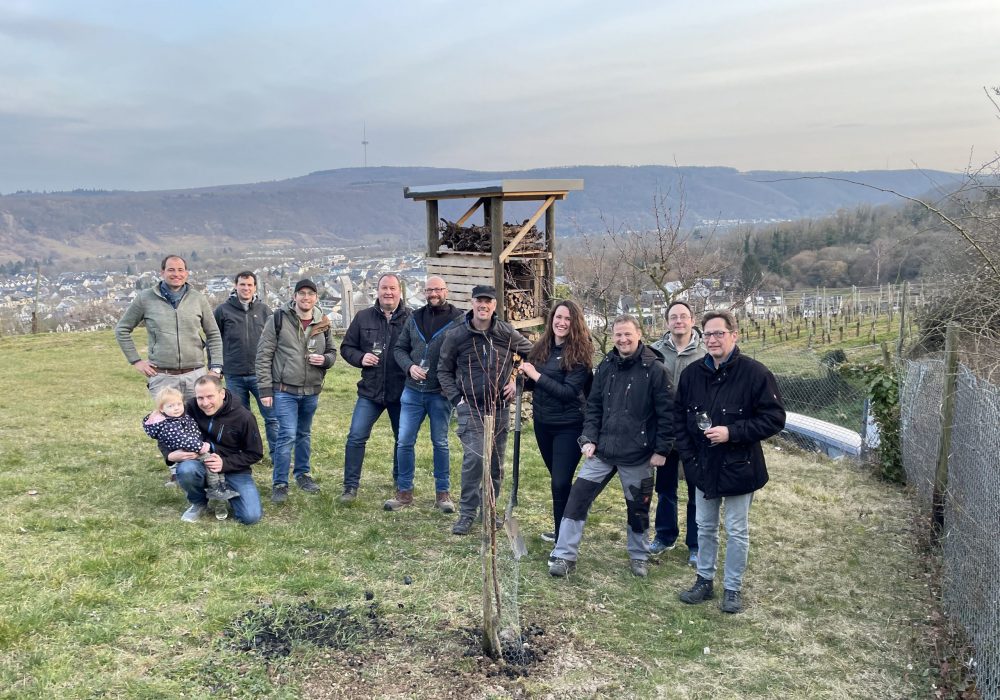 Ortsverschönerung Güls