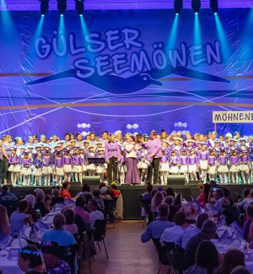 Gülser Seemöwen